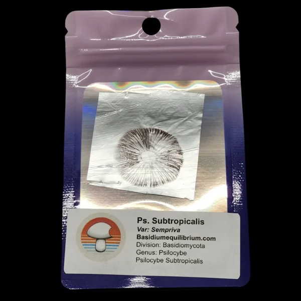 Purple spore print of Psilocybe Subtropicalis, showing characteristic color and pattern for microscopy and study.