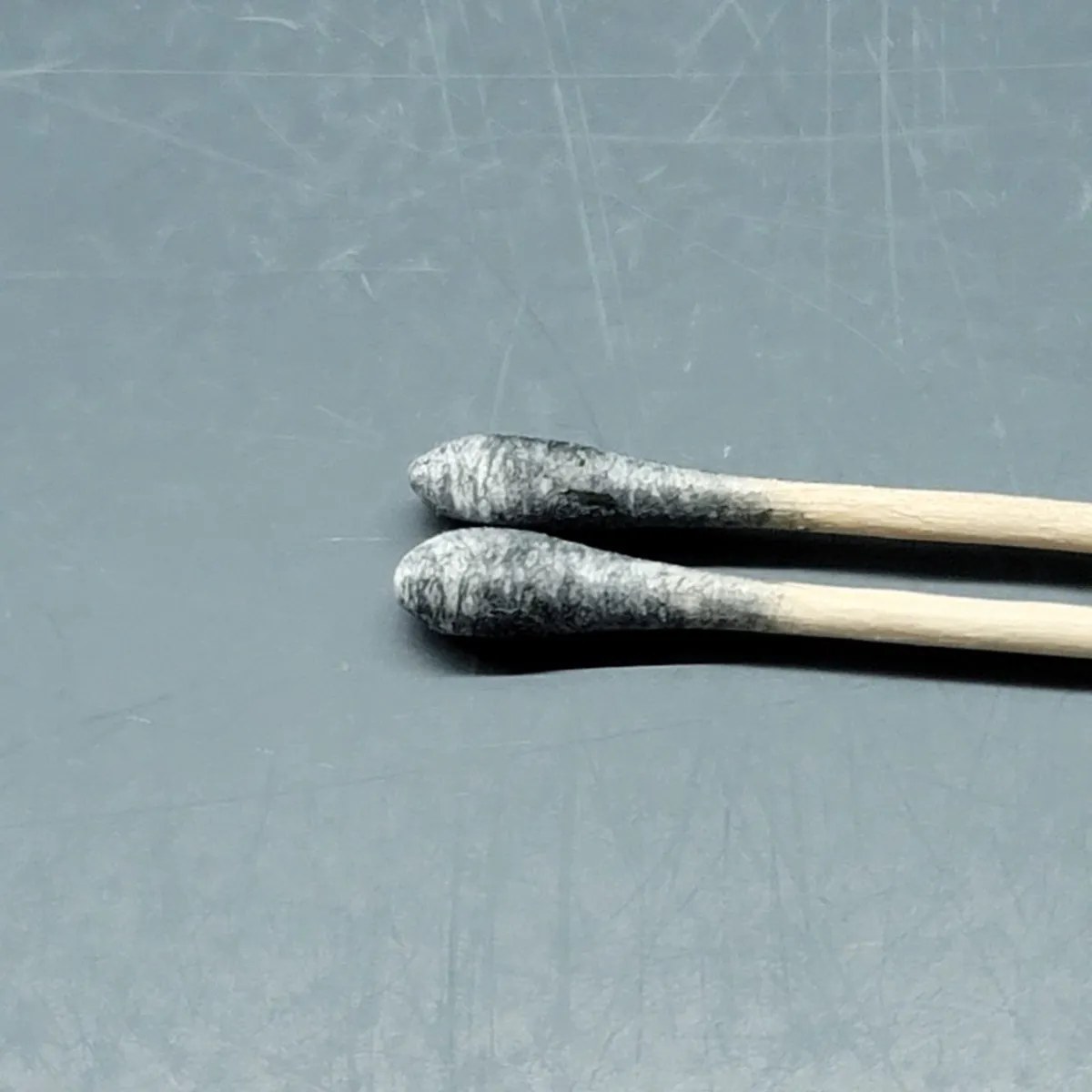 Pair of cotton swabs with blue-black spore deposits visible on the tips.