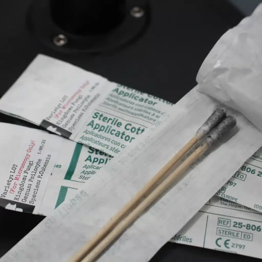Spore swabs for genetic use. a pair of spores swabbed onto the cotton tip of a sterile swab.