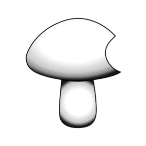 Xico XL - Spore Swab