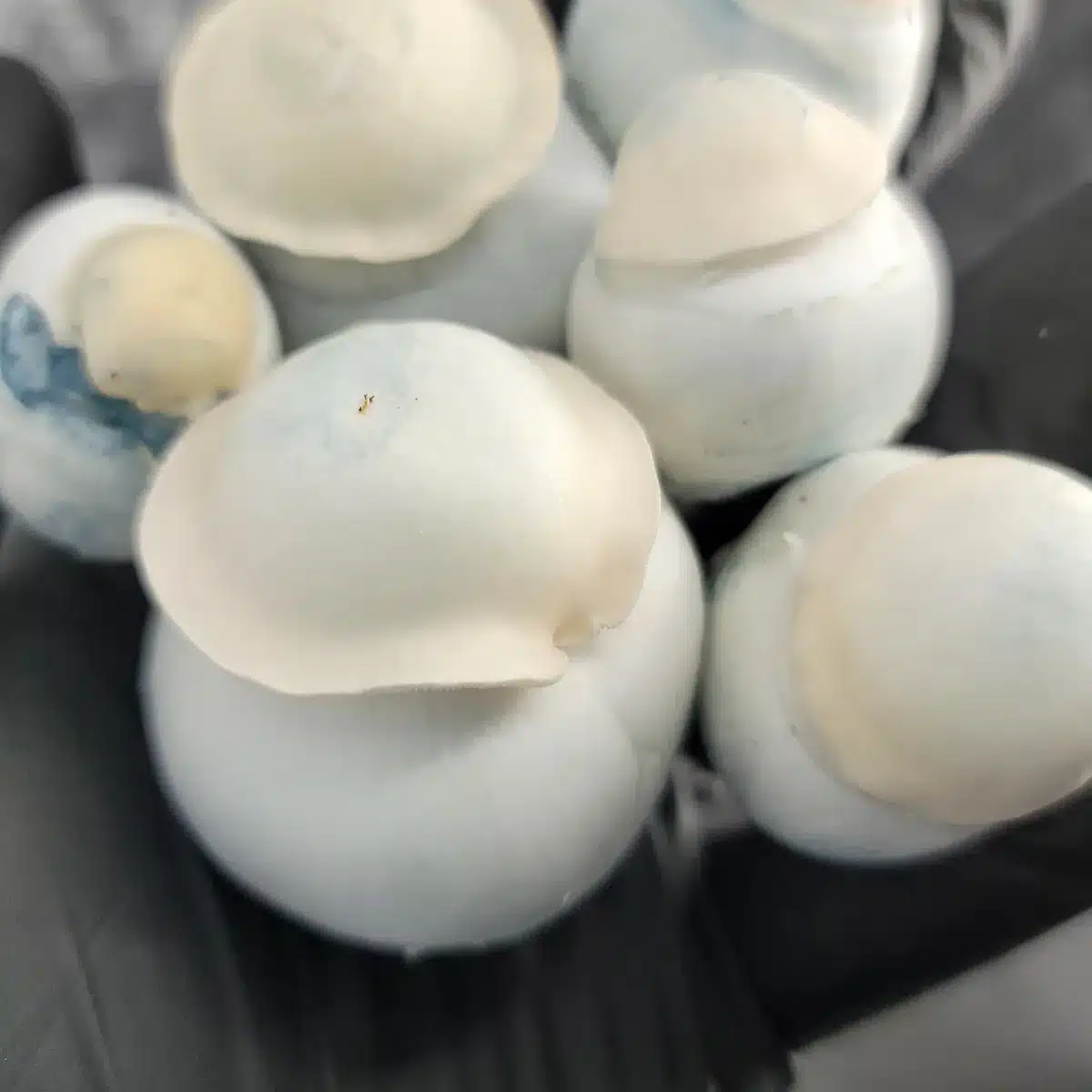 Small code style Yeti, the brother strain of ghost or TAT