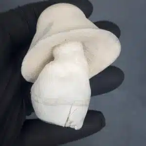 Albino Apehilly Bumpkin albino mushroom cap detail